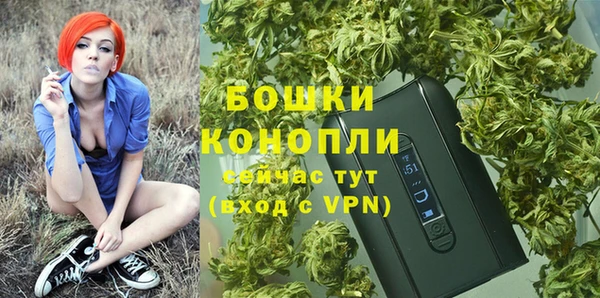 spice Богородицк