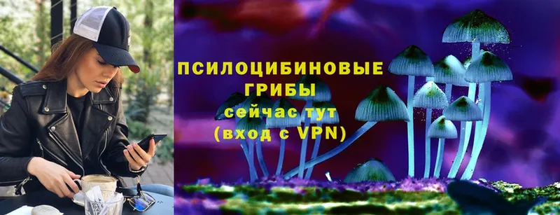 Псилоцибиновые грибы Psilocybine cubensis  кракен вход  Белёв 